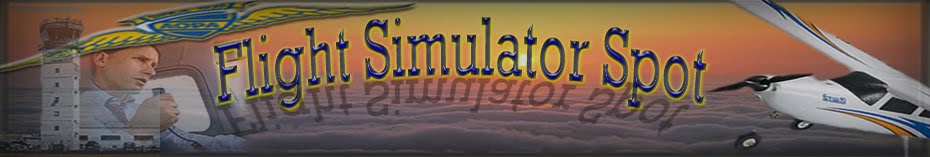Flight Simulator Spot