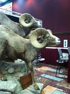 2013+Wild+Sheep+Foundation+Sheep+Show+and+Convention+Pics+and+updates+from+Reno,+NV+with+Colburn+and+Scott+Outfitters+15.JPG