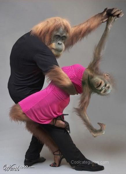 11-Dancing+monkey.jpg