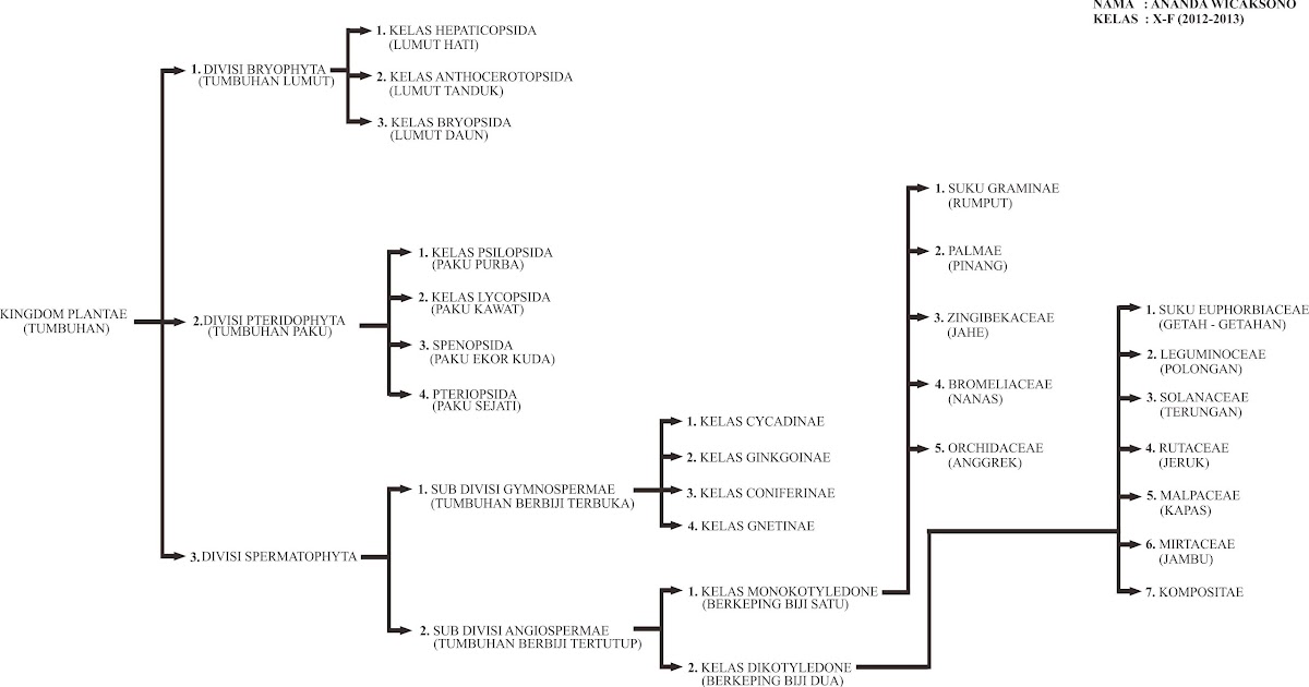 PERPUSTAKAAN DAN KLIPING OnLine KINGDOM PLANTAE (DUNIA