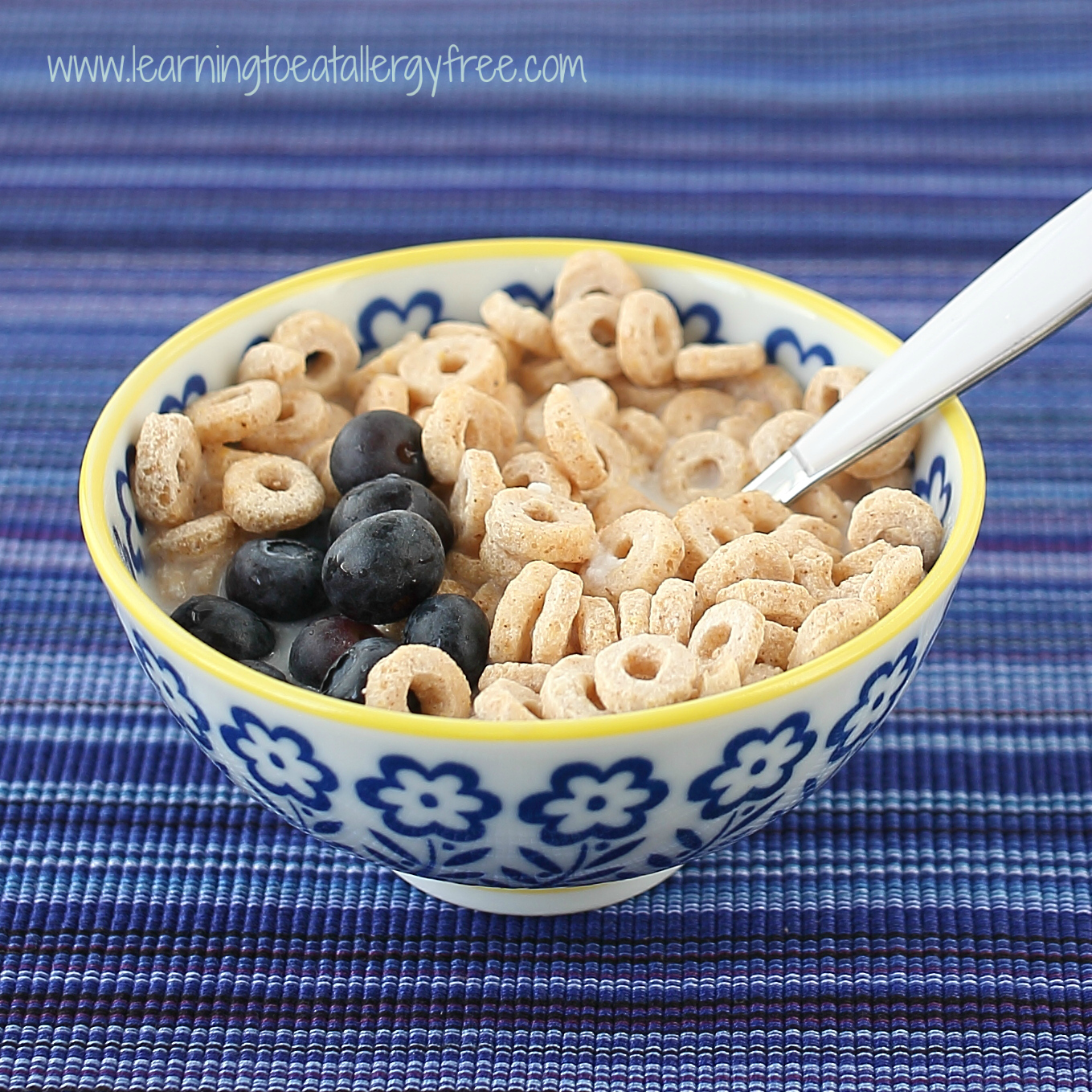 Learning to Eat AllergyFree Homemade Coconut Milk