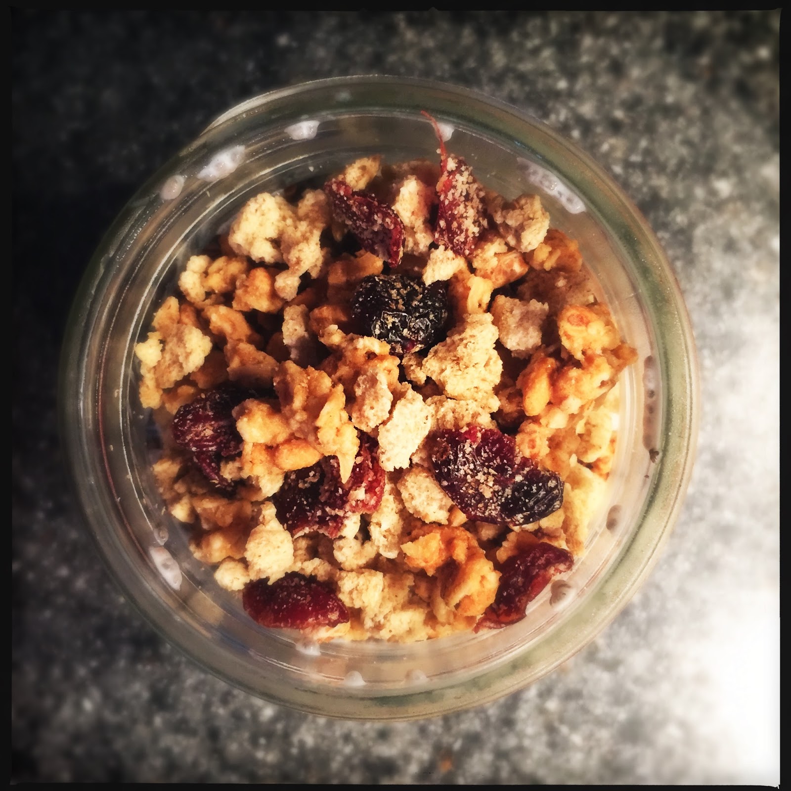 SOUNDING MY BARBARIC GULP! A Chia Pudding Experiment