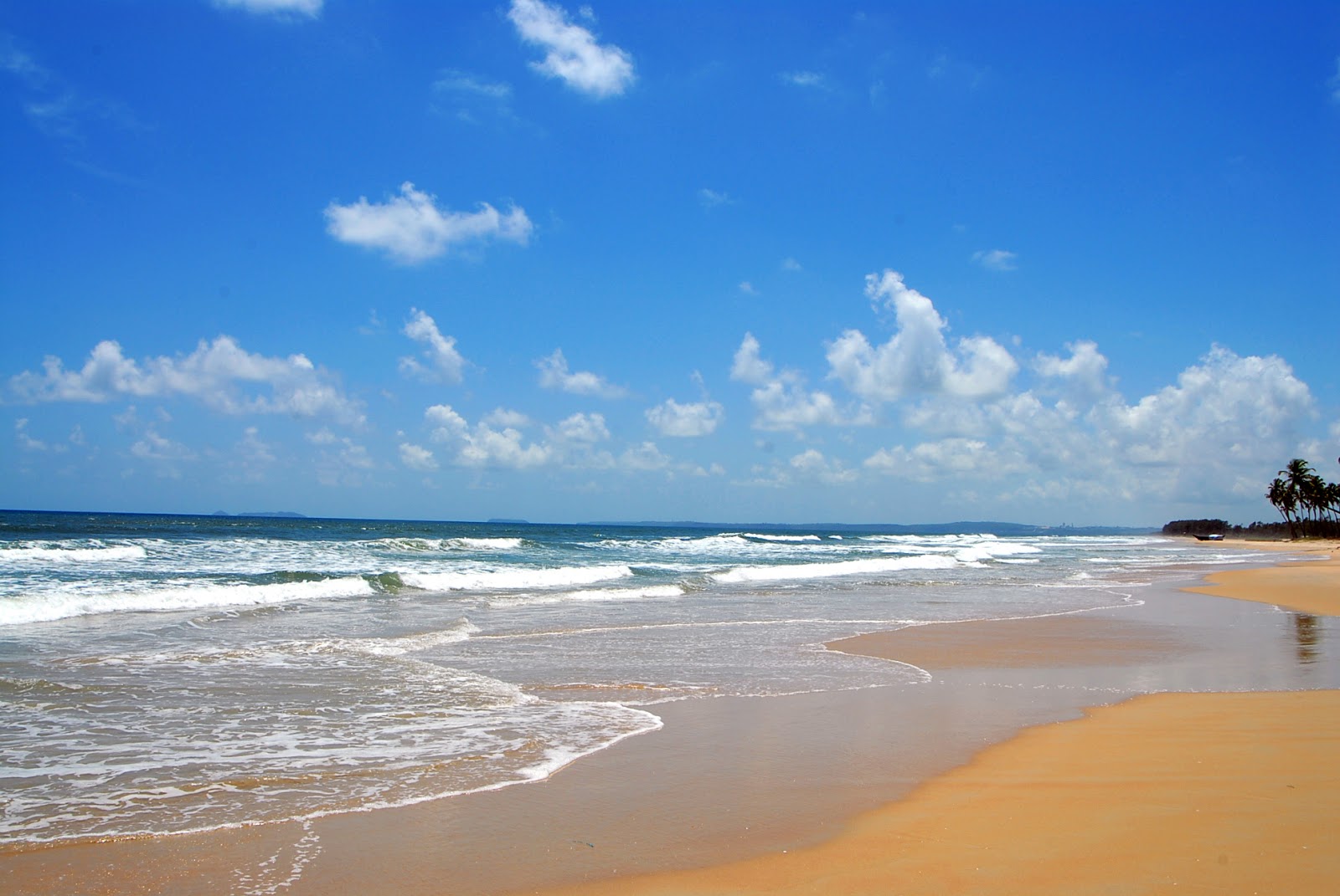 arcangel india 360 about colva beach goa arcangel india 360 about colva beach goa