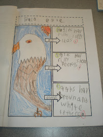 The Good Life: A Peek at our Week...