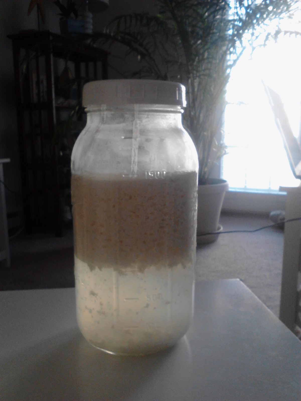 Zen Kefir Kefir Separation Why Isn't My kefir Separating?