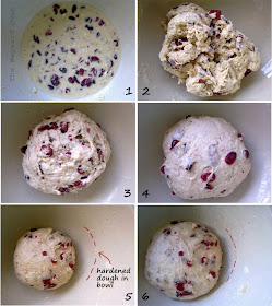 Cranberry cinnamon hybrid loaf prep