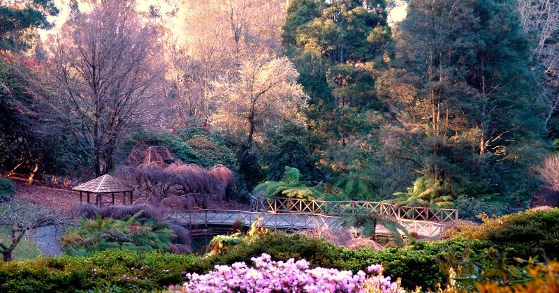 Travel: Nishinomaru Garden