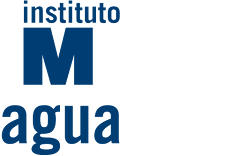 IMDEA