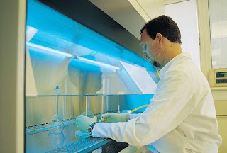 Sangre artificial en 10 años celulas madre