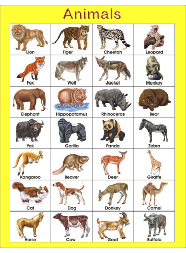 an analysis of different types of animal stories Home study guides animal farm chapter vii summary and analysis animal farm by george orwell buy study guide animal farm summary and analysis of. an analysis of different types of animal stories Home study guides animal farm chapter vii summary and analysis animal farm by george orwell buy study guide animal farm summary and analysis of.