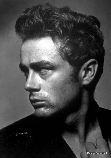 James Dean died too young Has that dissipated look that I find attractive