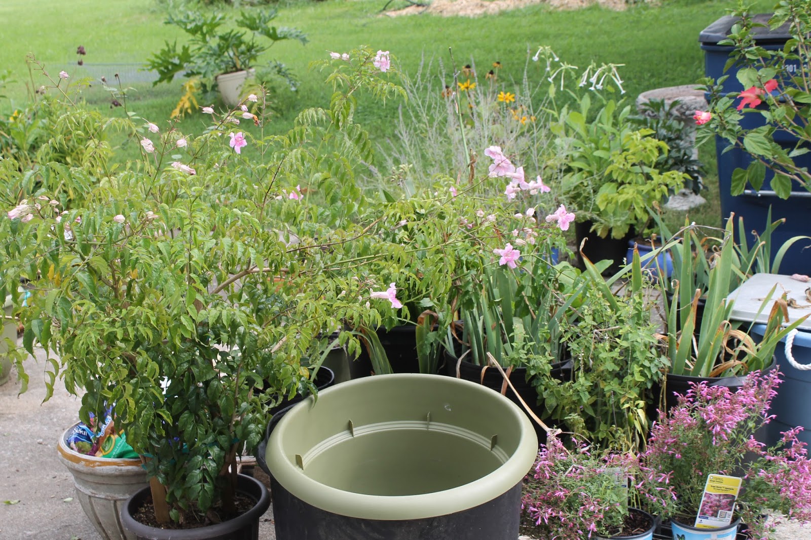 Gardening Tips for Small Spaces Benefits of the Backyard nursery