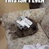 Sorry, Kitty! I can't agree