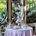 Pink Tea on the Veranda
