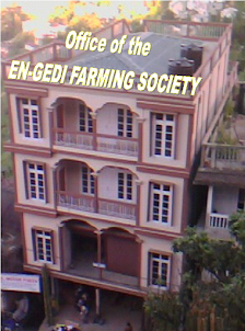 OFFICE OF THE E.F.S.M