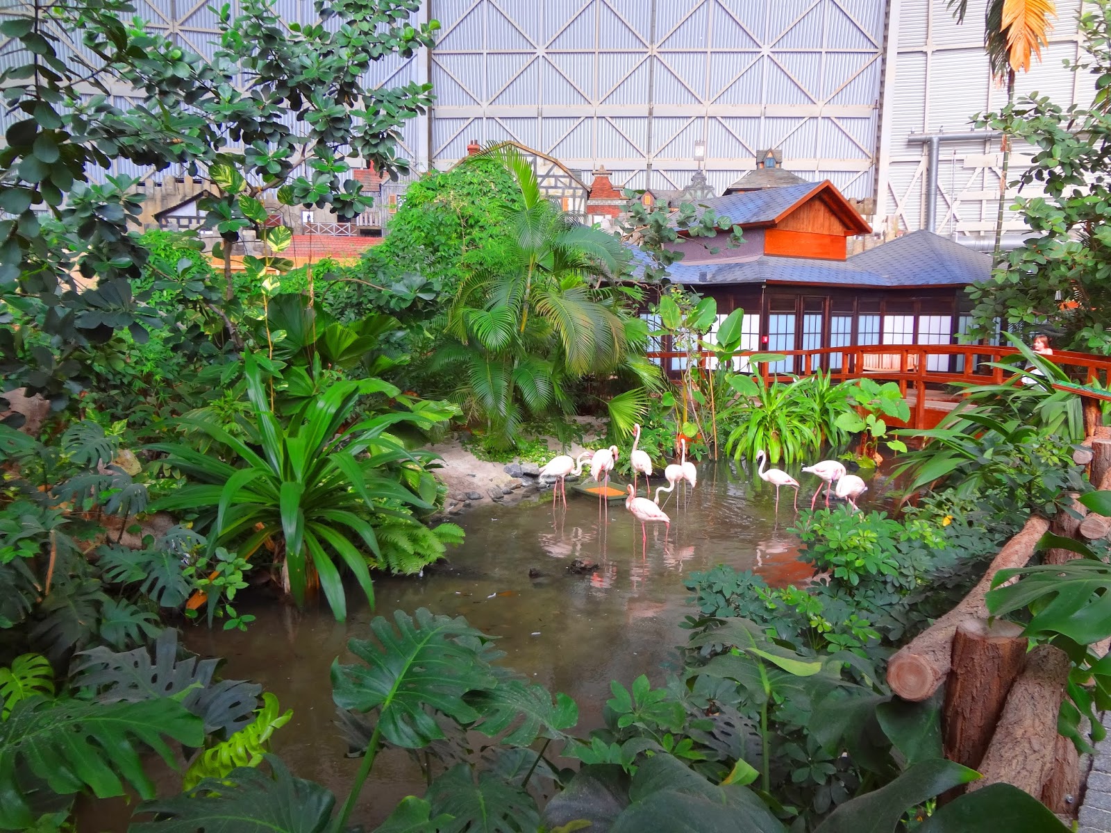 Back To Berlin And Beyond Berlin S Tropical Island