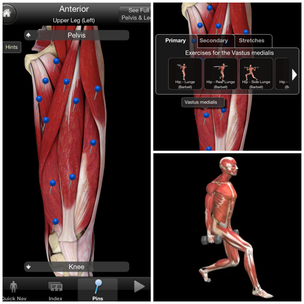 imuscle app review imuscle app review