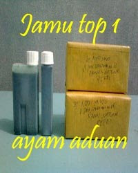 Jamu super untuk ayam bangkok aduan