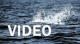 Maldives Fishing videos