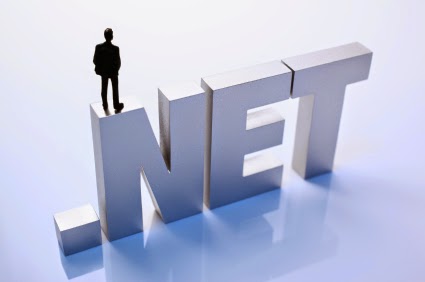 dot net developer