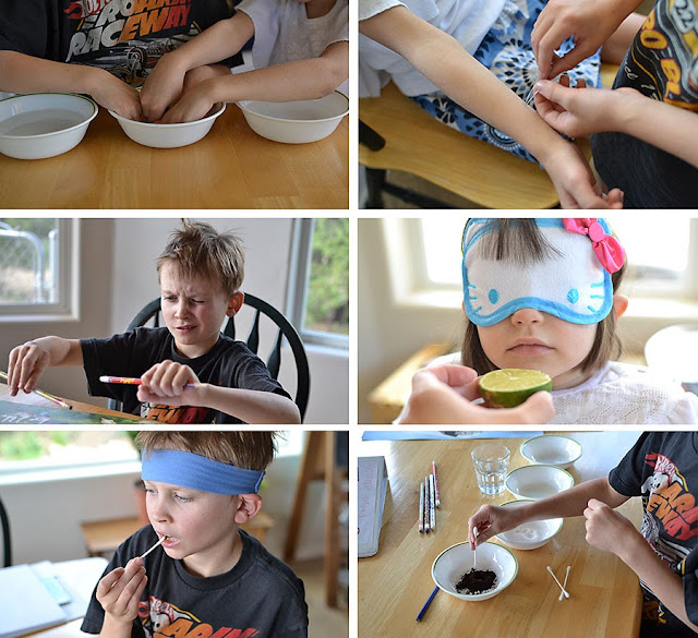 Home. Kids. Life.: Free Elementary Science Curriculum for Homeschool