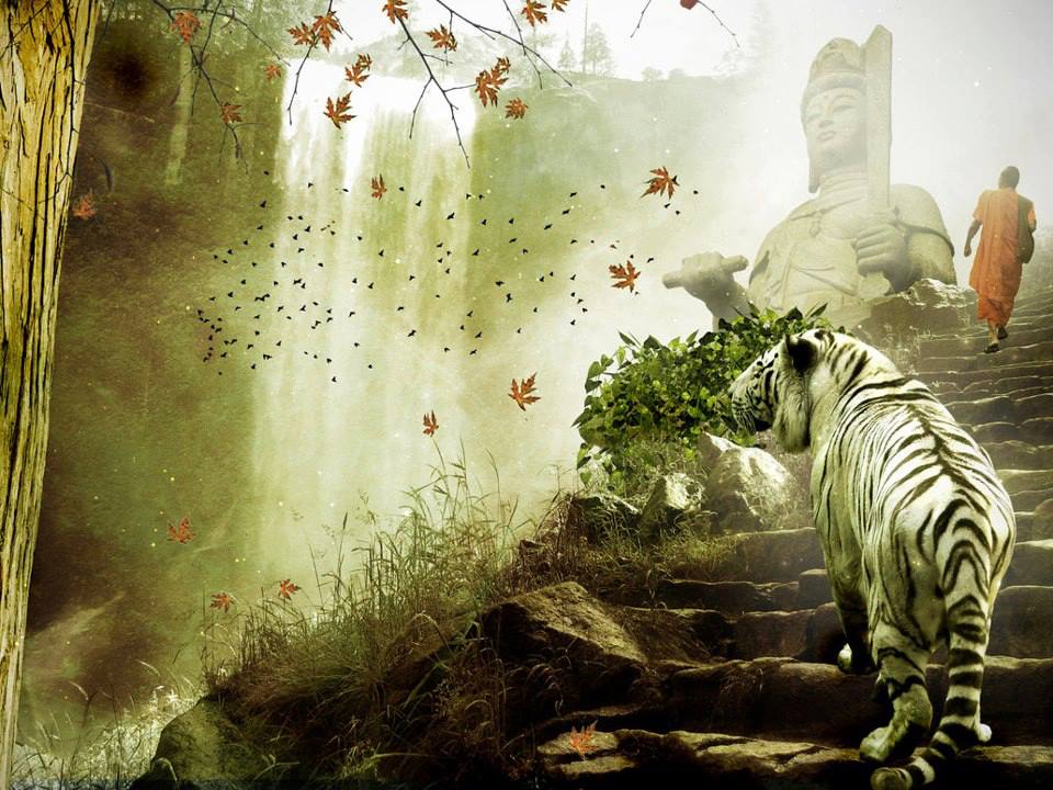 Buddha Quotes Online Lord Buddha Statue, Monk and Tiger
