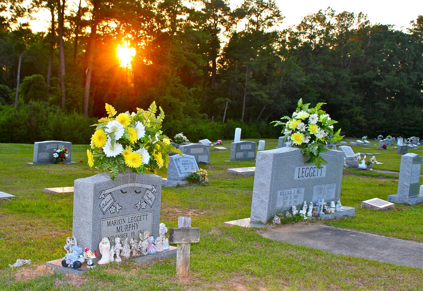 Eminence Cemetery Phillip's Natural World