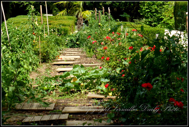 Potager kitchen garden Trianon Palace Versailles