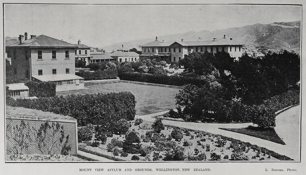 Reasons for Insane Asylum admissions in the Victorian era