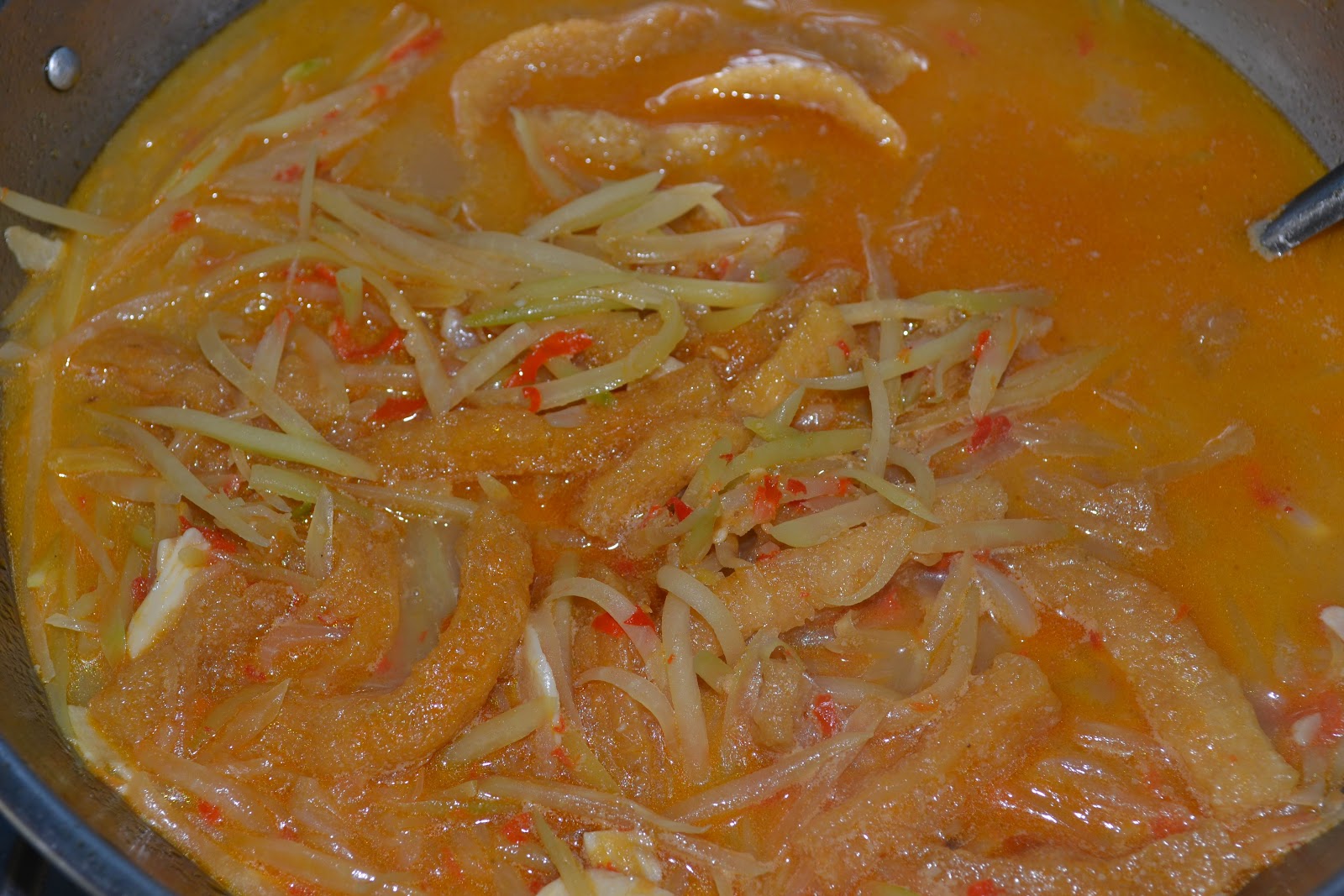 Diah Didi�s Kitchen Lontong sayur pepaya muda Diah Didi�s Kitchen Lontong sayur pepaya muda