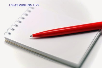 Best essay writing service 2014