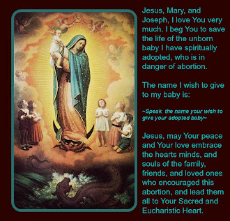 Our Lady of Guadalupe, Patroness of the Unborn