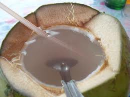 khasita air kelapa