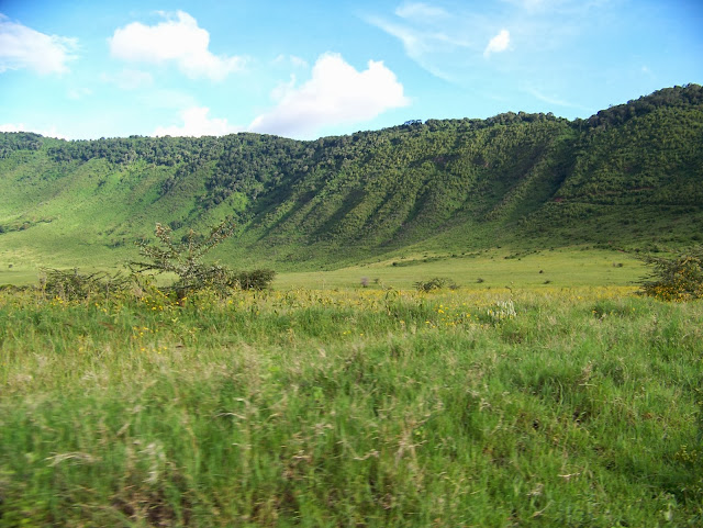 NGORONGORO CRATER TANZANIA