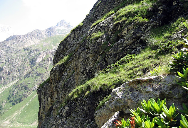Кавказ - красивые горы повсюду. Джейрах, Казбек, Эльбрус - страна чудес