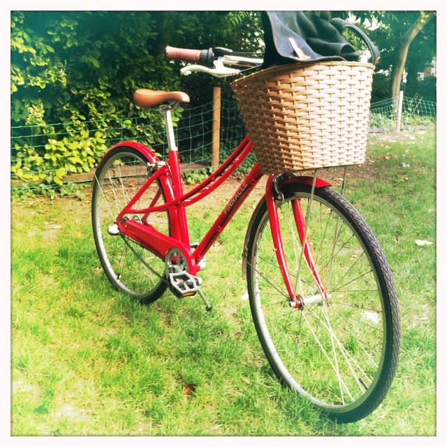 pinnacle californium 20 inch