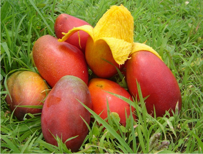 Kidney Disease Treatment Can Patients with