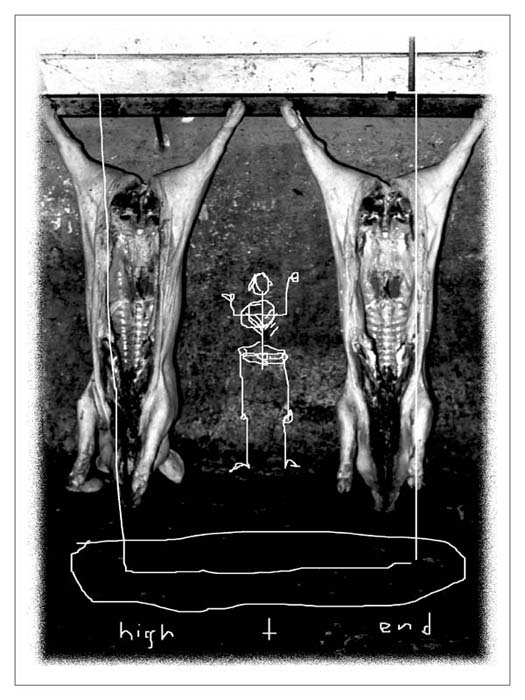 Der Einfluss Digitaler Medien Auf Die Fachdidaktik Des Sachunterrichts
