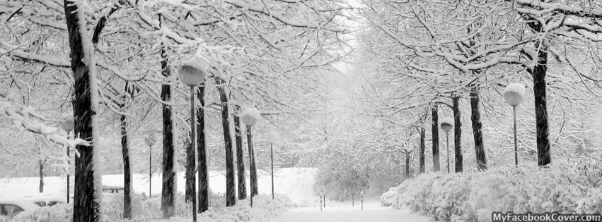 Winter Facebook Covers