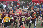 St. Ambrose Cross Country