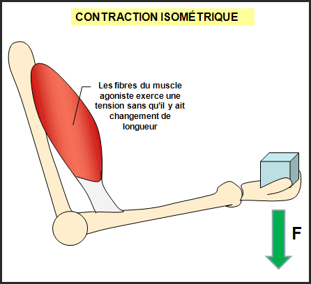 Résultat de recherche d'images pour "exercice concentrique"