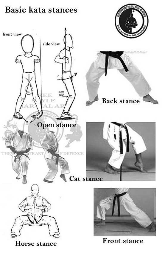free" style martial art Basic kata stances