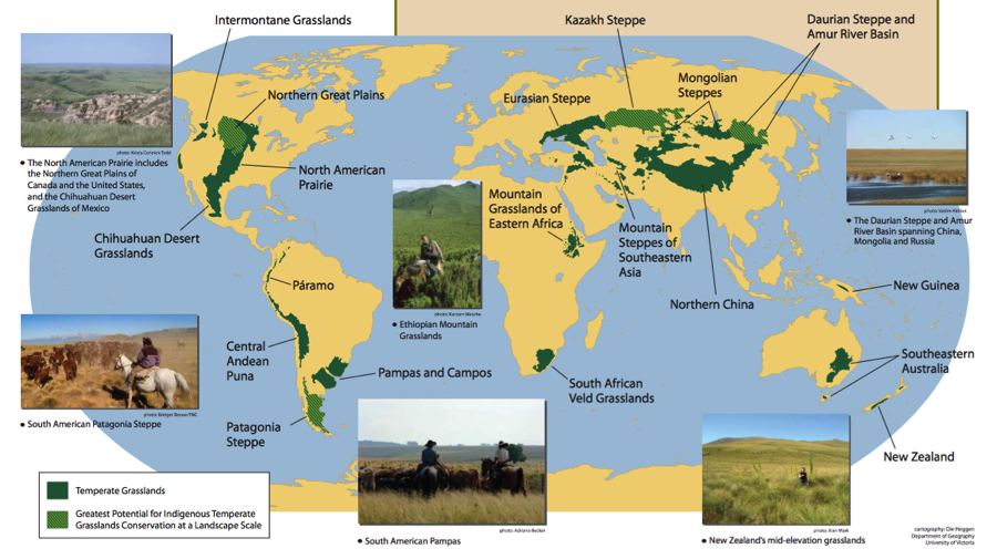 Grasslands are Important