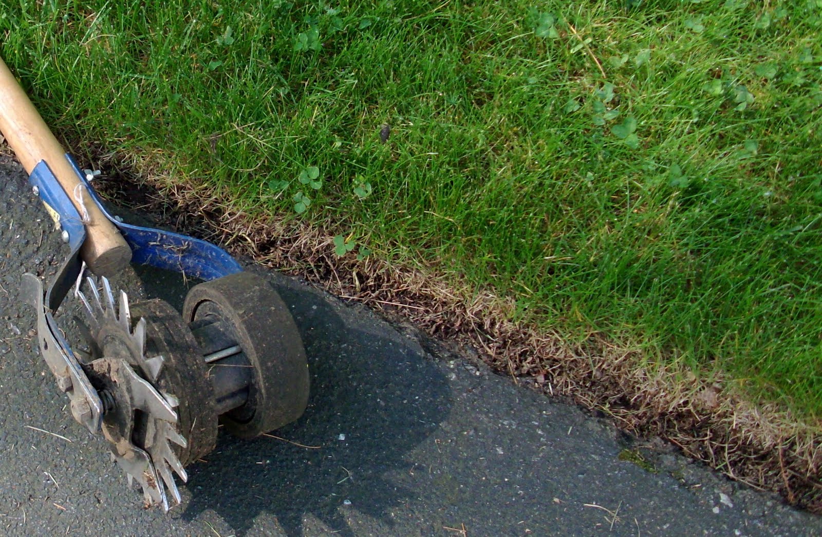 The Principal Undergardener: August 2011