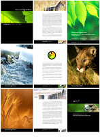 Brochure Layout Designs1