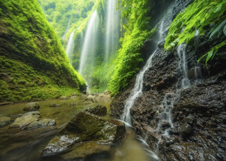  memang populer mempunyai banyak sekali tempat wisata alam yang wajib dikunjungi bagi kalian ya Tempat Wisata Alam Jawa Timur Terbaik