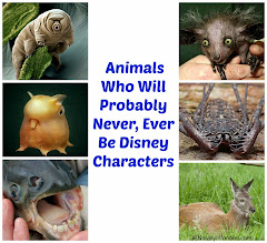 Meet  7 Animals That Will Not Be Disney Characters