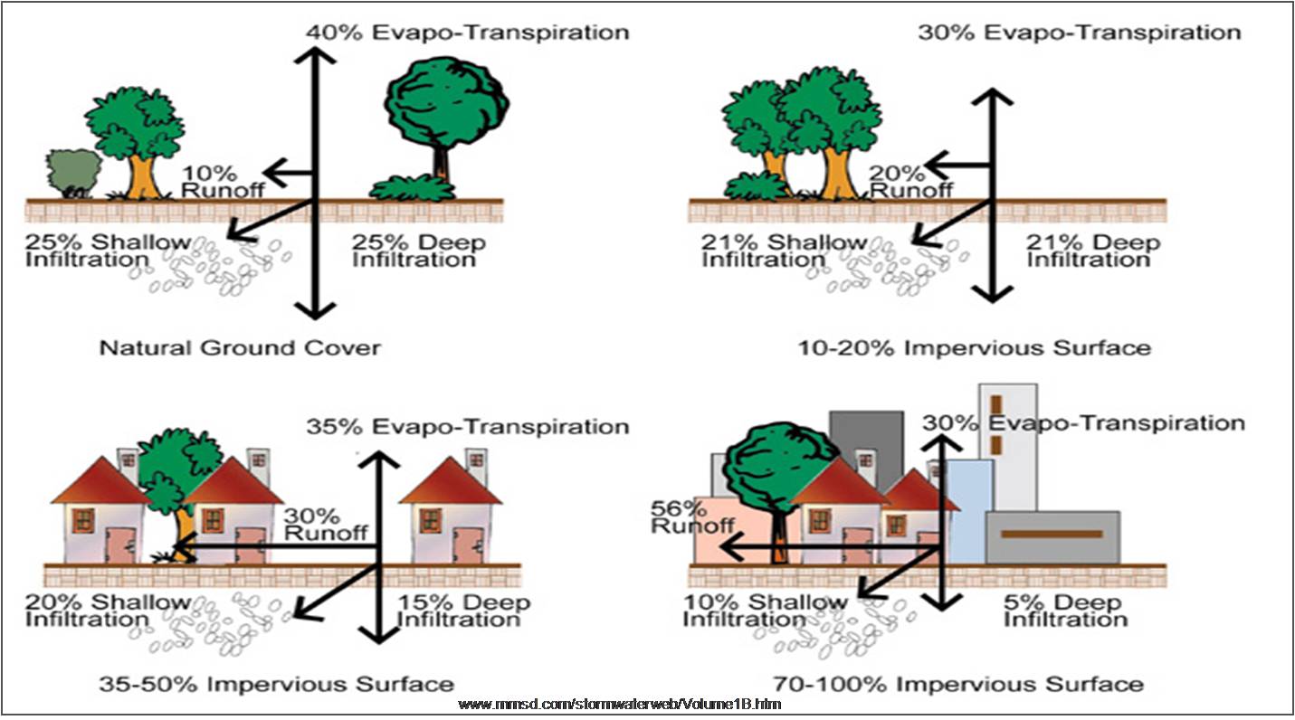 Saturated Overland Flow