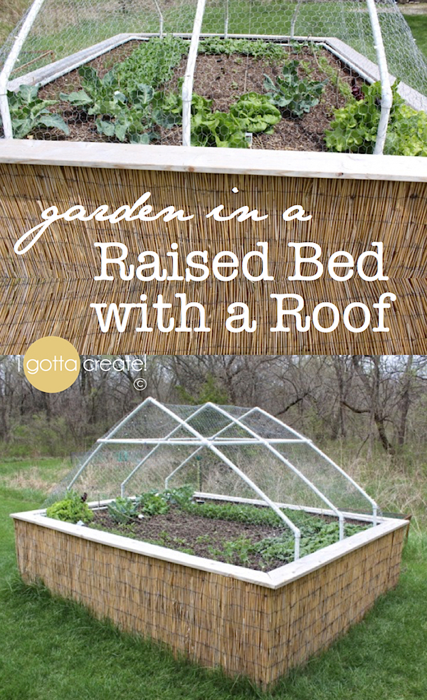 I Gotta Create Raised Garden Bed With A Roof Raised Garden Bed With A Roof