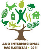 Ano Internacional das Florestas
